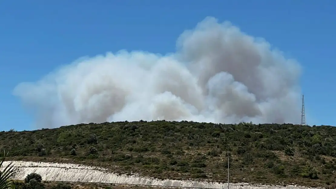 Çeşme'deki orman yangınına havadan ve karadan müdahale