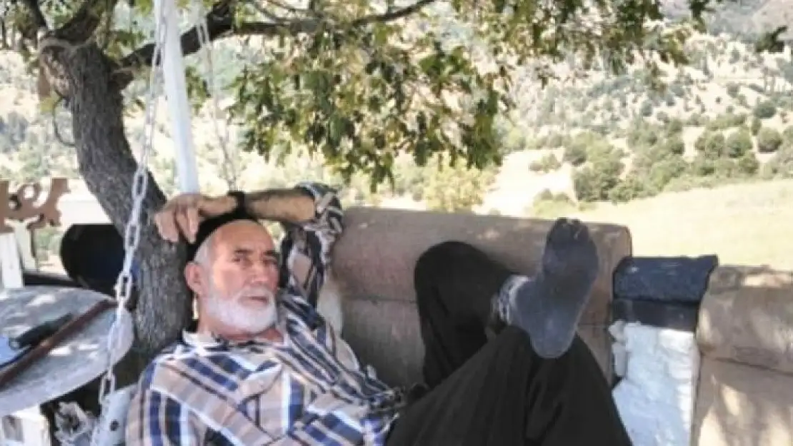 Ceviz toplarken kalp krizi geçiren yaşlı adam hayatını kaybetti