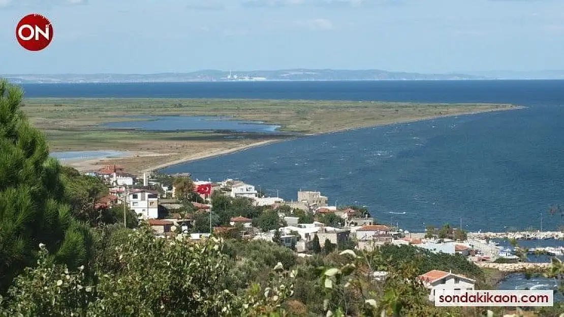 Çevrecilerin karides isyanı