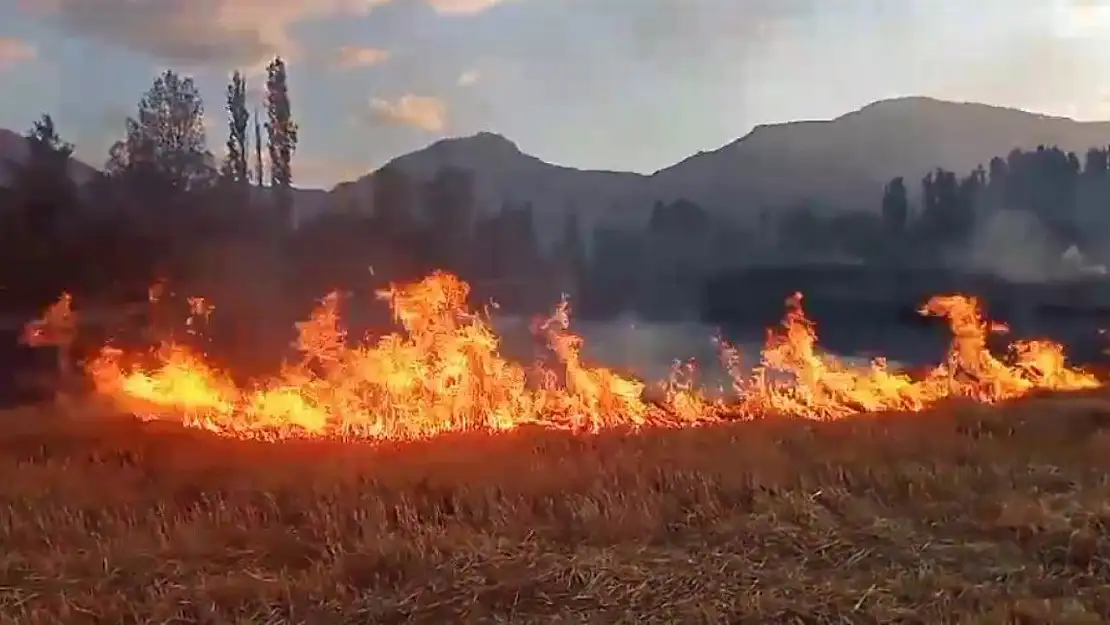 Çiftçiler, anız yakımına karşı uyarıldı