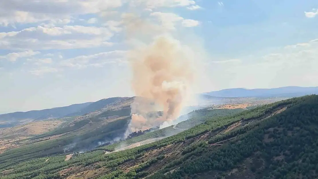 Çivril'deki yangında 8 hektar alan zarar gördü