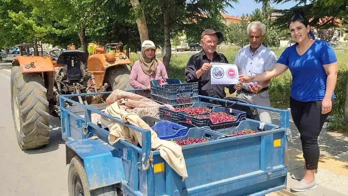 Coğrafi işaret alan Pazarlar kirazı denetlendi