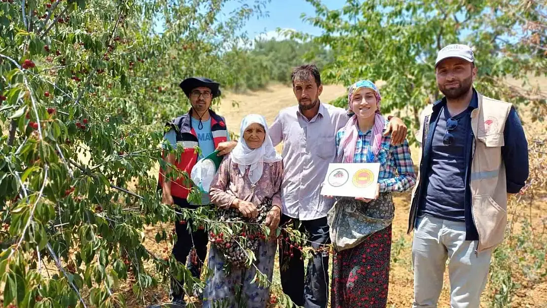 Coğrafi işaret onaylı Şaphane vişnesinin tescil ve kontrol çalışmaları