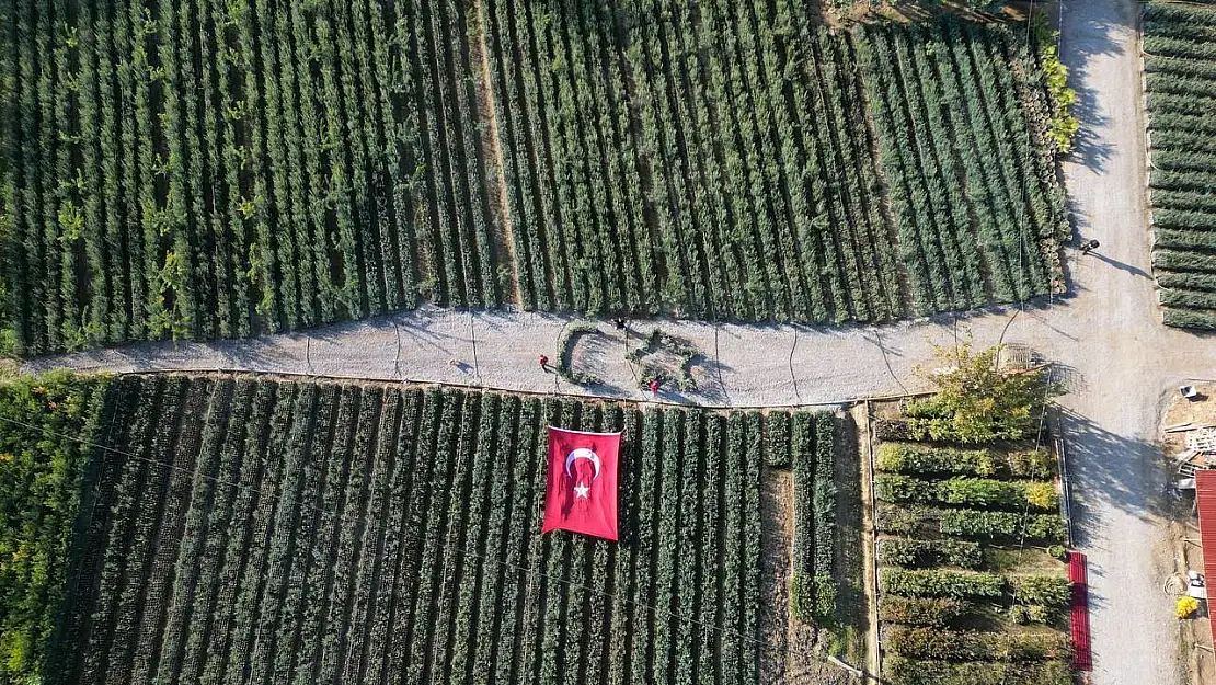 Cumhuriyetin 101 için zeytin fidanlarıyla Türk Bayrağı'nı oluşturdu