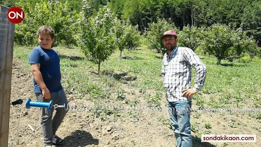 Dağın zirvesindeki bahçesini yaban hayvanlarından böyle koruyor