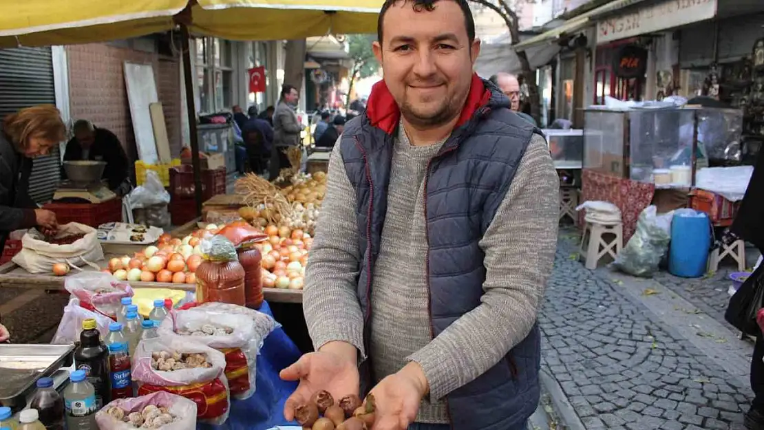 Dağlarda kendiliğinden yetişen beşbıyık tezgahlarda yerini aldı