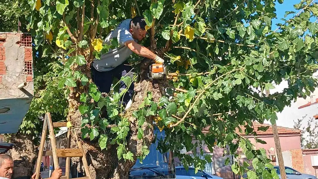 Daha yeşil bir Şehzadeler için ekiplerden yoğun mesai