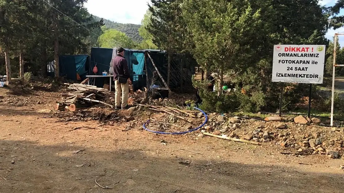 Datça'da ormanlar bakıma alındı