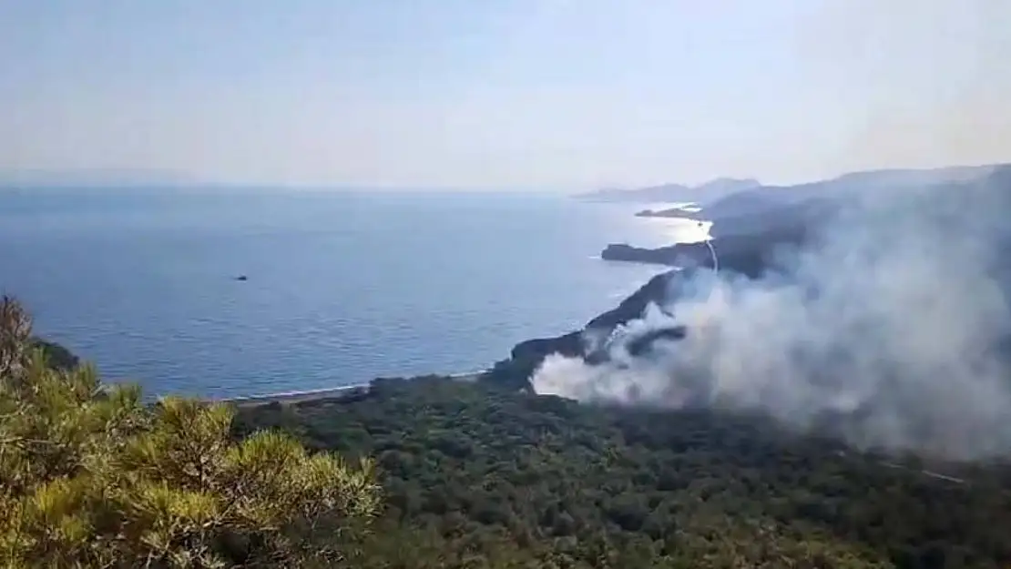Datça'daki orman yangınıyla ilgili tutuklu sayısı 2'ye yükseldi