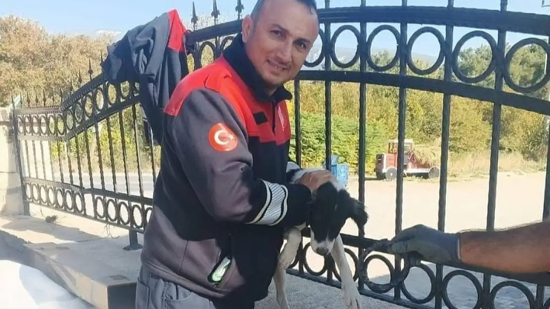 Demir parmaklıklara kafası sıkışan köpeği itfaiye kurtardı