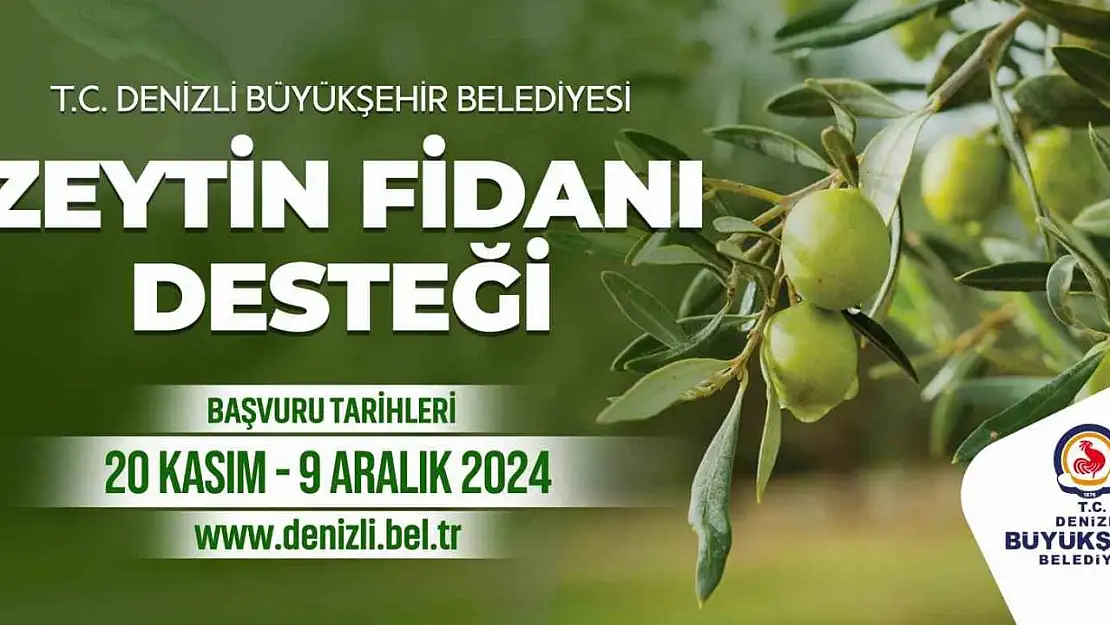 Denizli Büyükşehir çiftçilere 50 bin zeytin fidanı dağıtacak