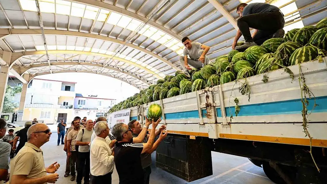 Denizli Büyükşehir tarlada kalan karpuzları halka dağıttı