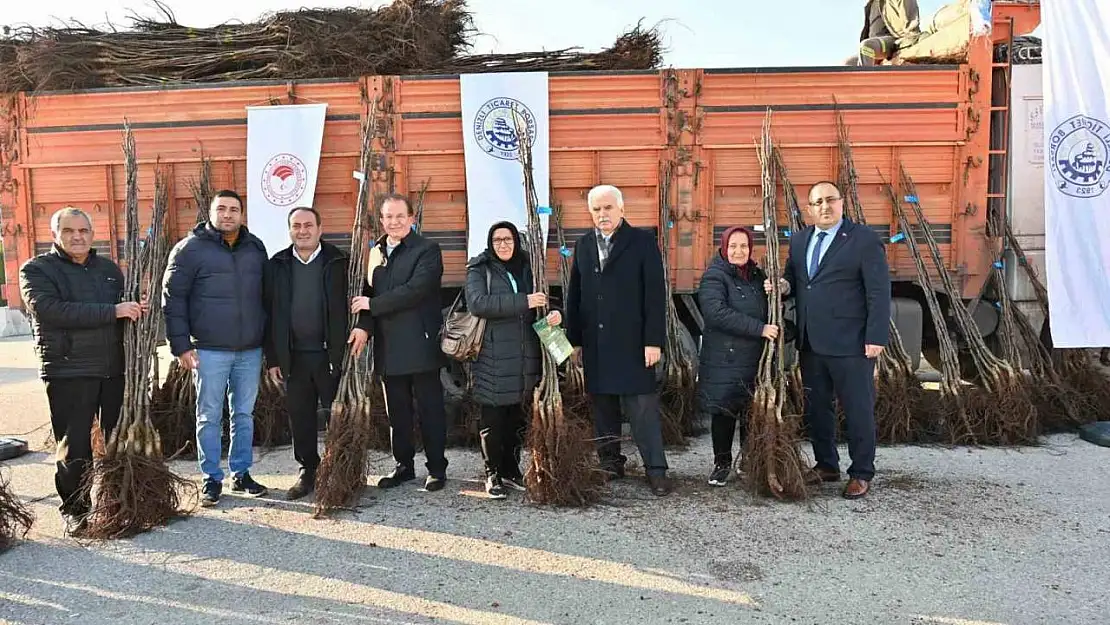 Denizli cevizin başkenti olma yolunda ilerliyor