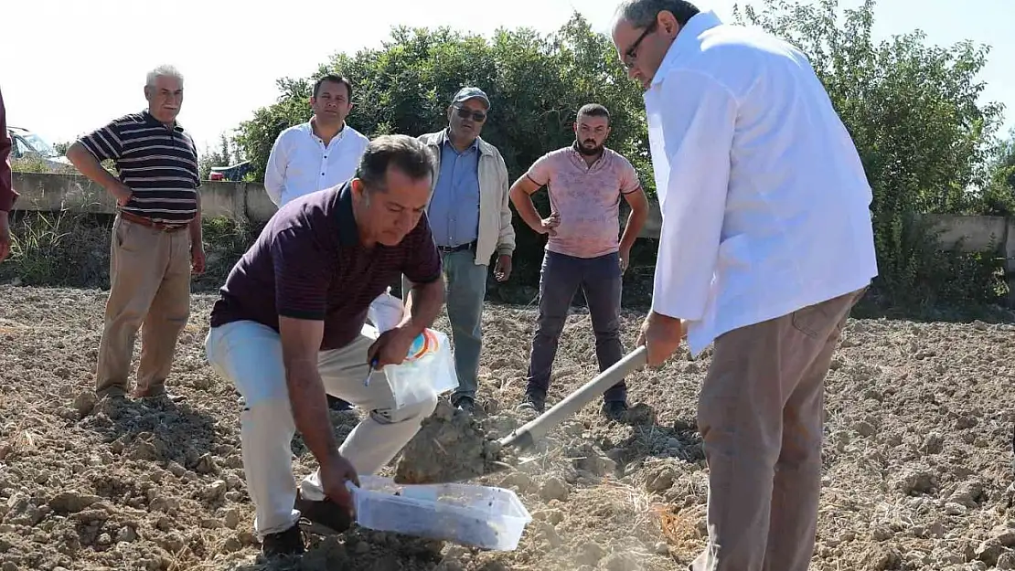 Denizli'de 'Toprağını Tanı' projesinde 1250 toprak analizi yapıldı