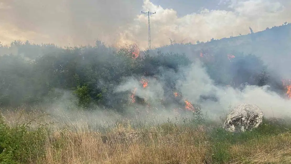 Denizli'de 1 günde 10 orman yangını çıktı