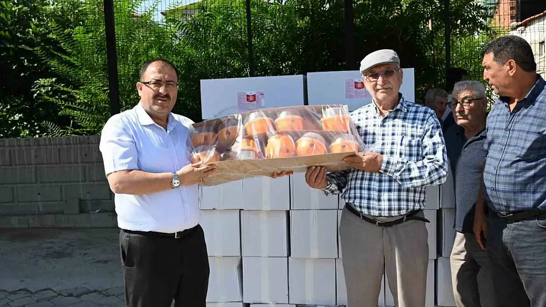 Denizli'de Akdeniz meyve sineği zararlısına karşı çiftçilere tuzak dağıtıldı