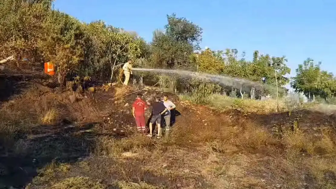 Denizli'de çıkan yangın ormana sıçramadan söndürüldü