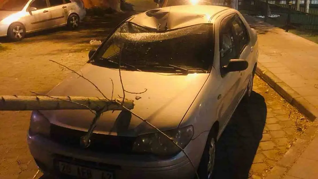 Denizli'de fırtına maddi hasara neden oldu