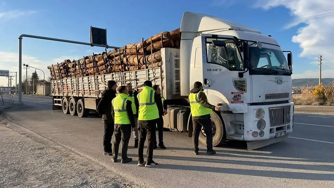 Denizli'de orman kaçakçılığına geçit yok