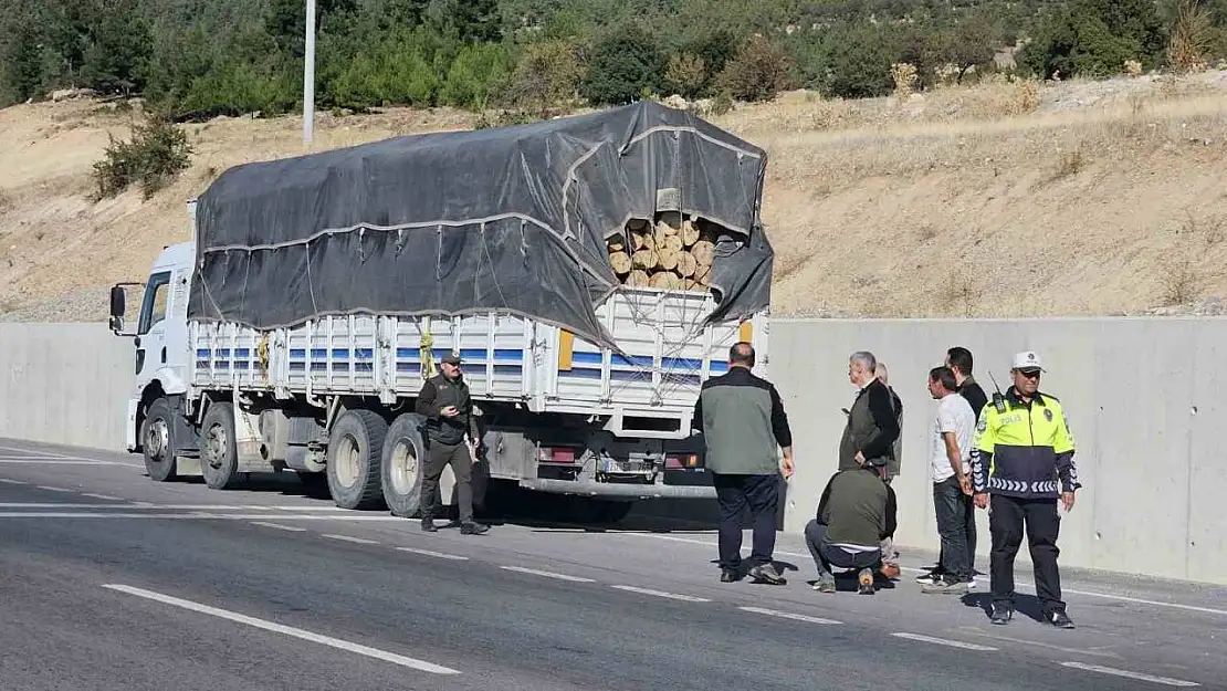 Denizli'de orman suçlarına karşı denetimler sıkılaştırıldı