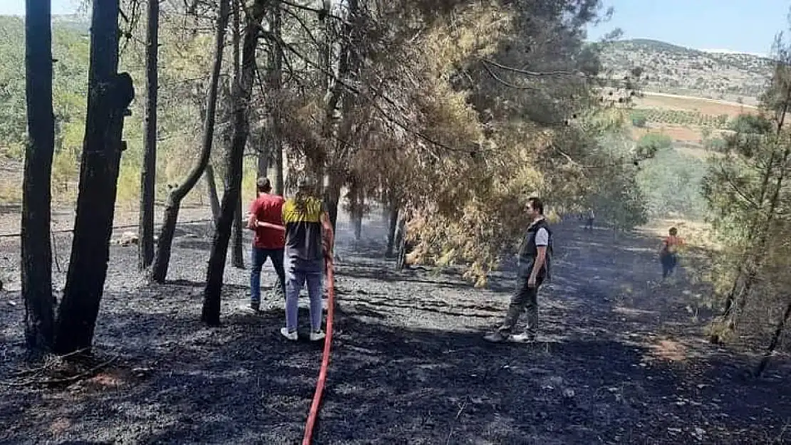 Denizli'de orman yangını kısa sürede kontrol altına alındı