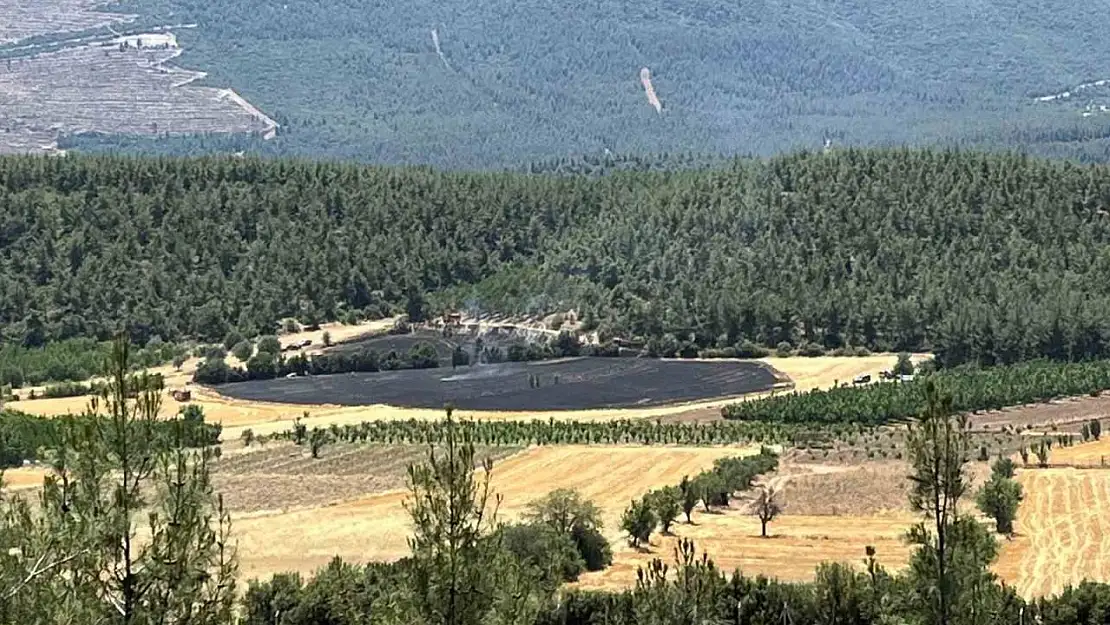 Denizli'de ormana yakın bölgede çıkan yangın söndürüldü