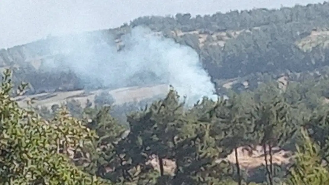 Denizli'de sabaha karşı başlayan orman yangını hızlı müdahaleyle söndürüldü