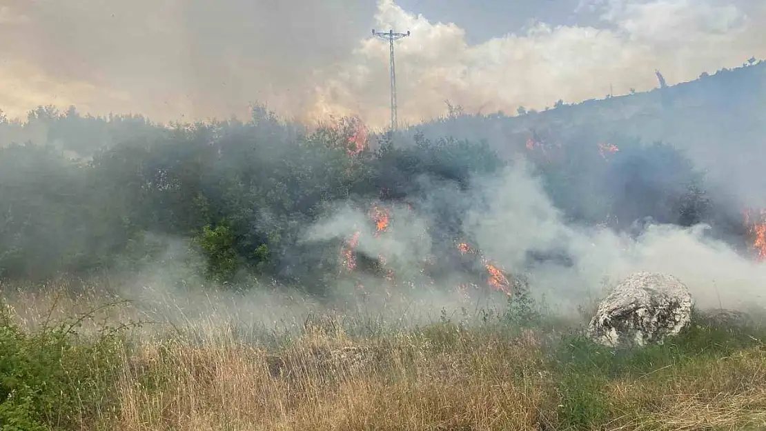 Denizli'de üç noktada orman yangını çıktı