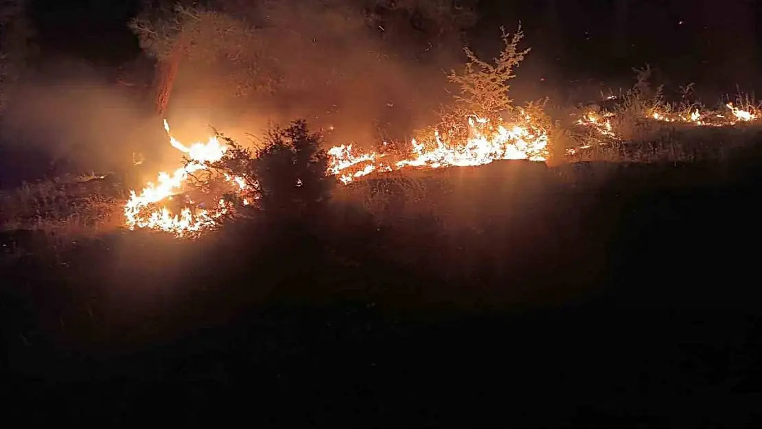 Denizli'de yangınla mücadele 21 saattir devam ediyor