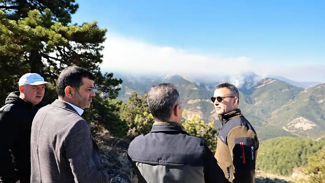 Denizli'deki orman yangını söndürüldü