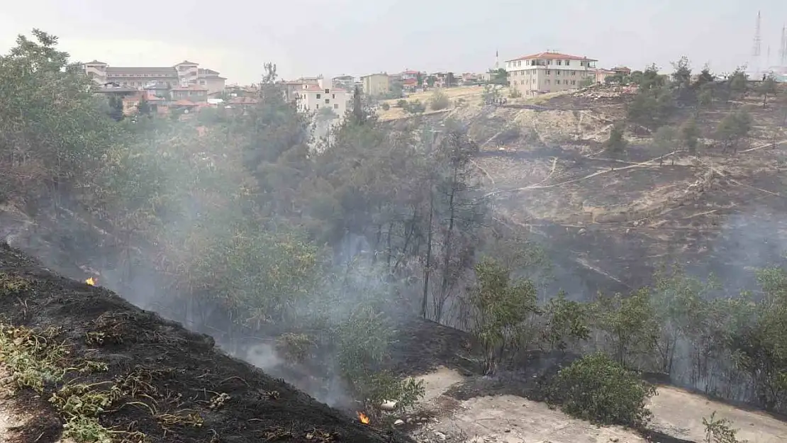 Denizli'deki orman yangınına  havadan ve karadan müdahale ediliyor