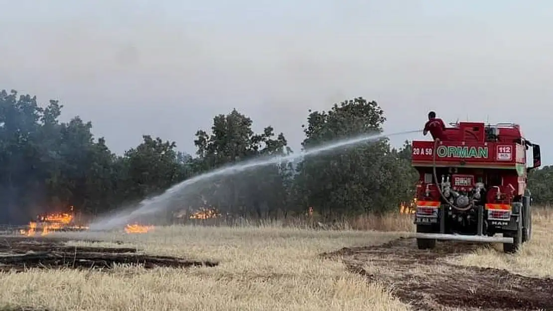 Denizli'nin Bekilli ilçesinde çıkan yangın söndürüldü