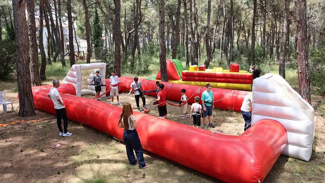 Denizli OSB, geleneksel bölge pikniğinde buluştu