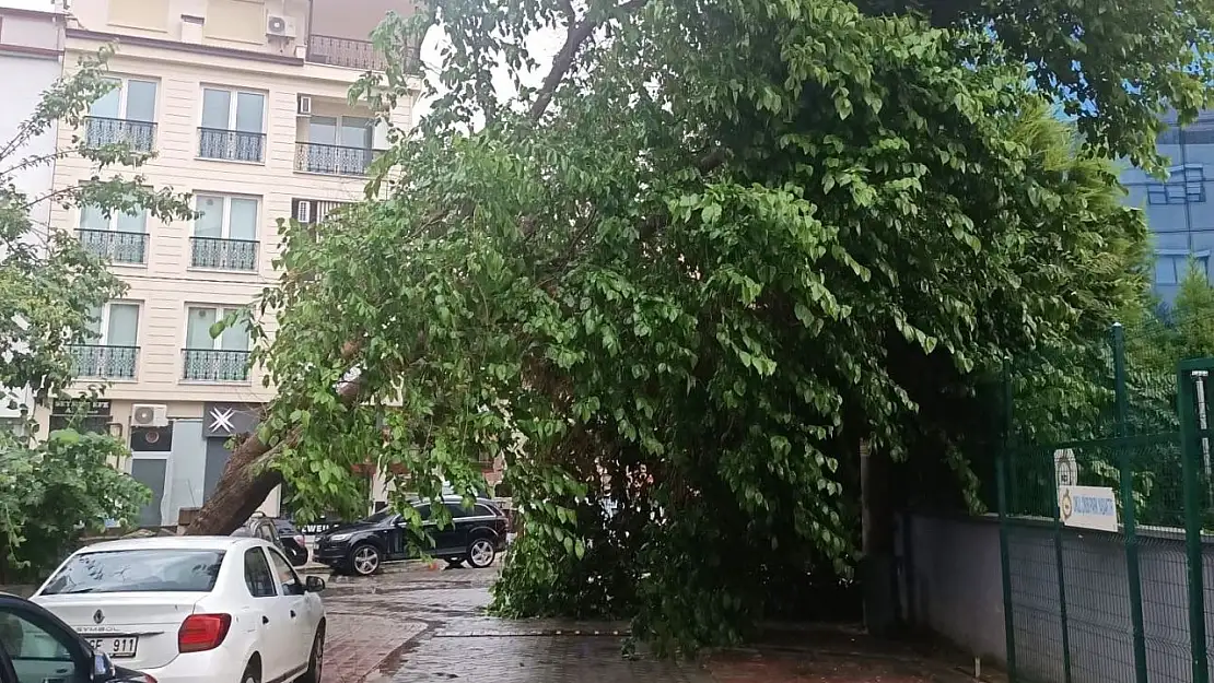 Denizli'ye kuvvetli rüzgar ve fırtına uyarısı