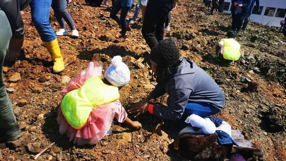 Denizlili minikler Marmaris'te 500 fidanı toprakla buluşturdu