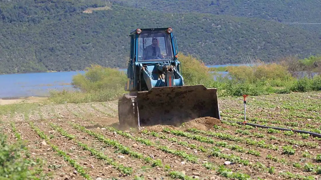 Devlet çiftçiye 'ekin' diyor, DSİ ekili alanları düzlüyor