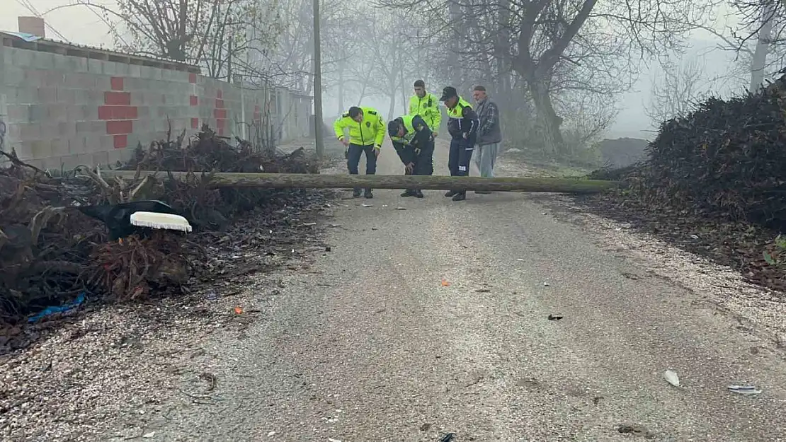 Devrilen direğe çarpan motosikletin sürücüsü yaralandı