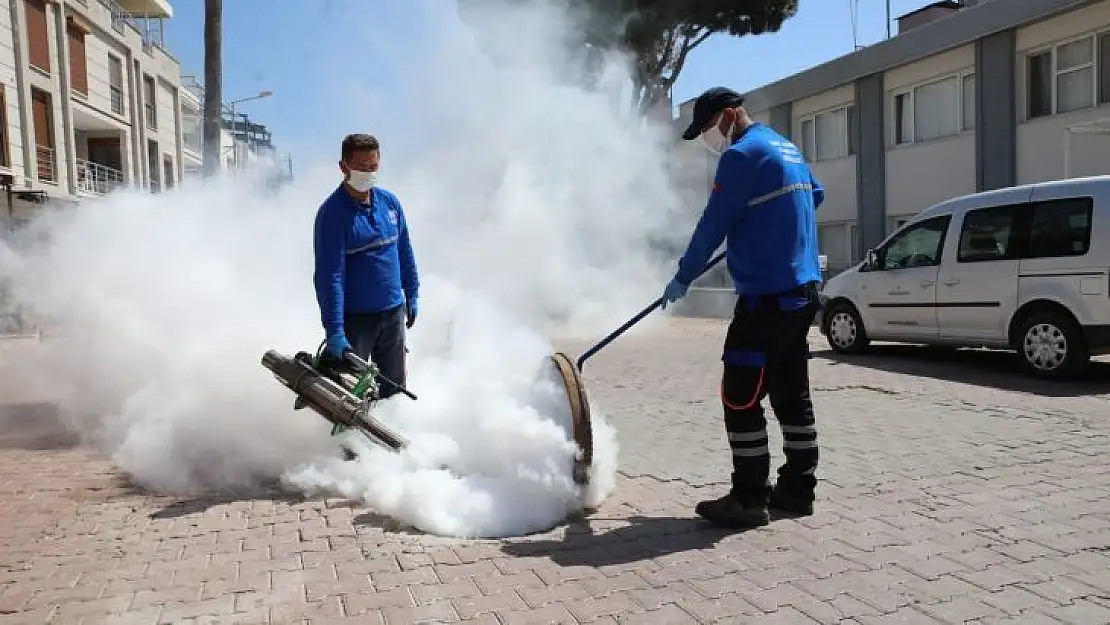 Didim Belediyesi ilaçlama çalışmalarına başladı