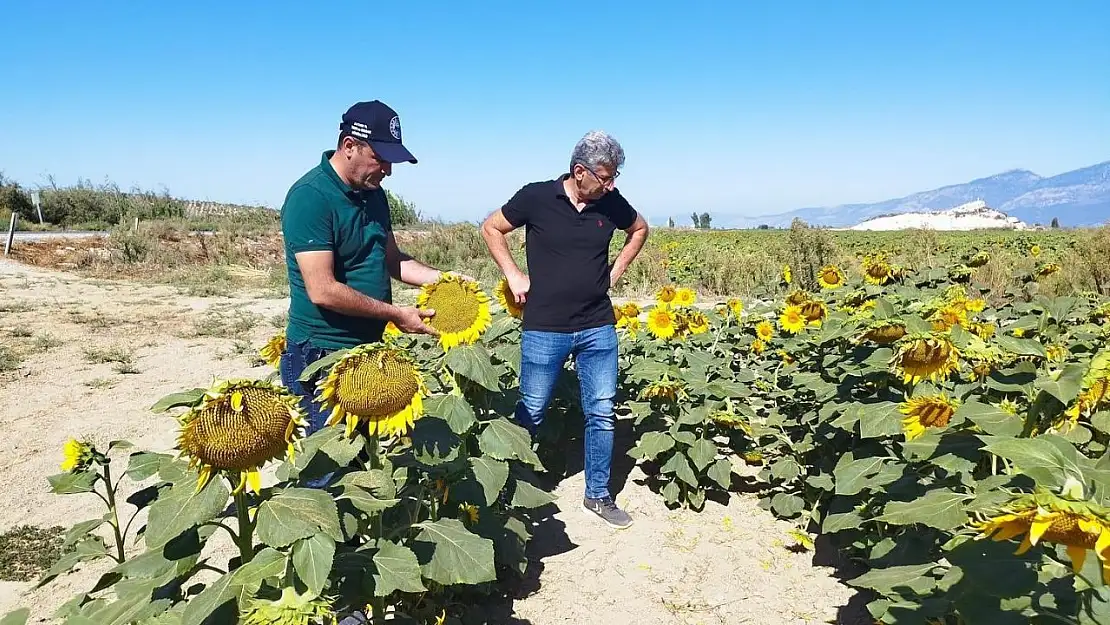 Didim'de haftalık kontroller devam ediyor