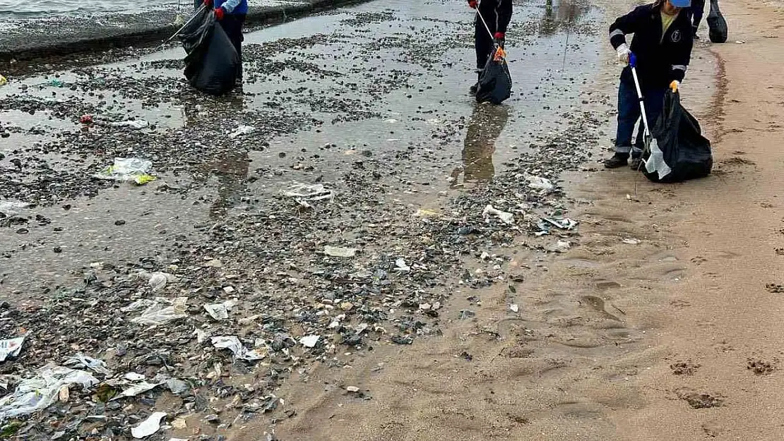 Didim'de sahillerde temizlik çalışması yapıldı