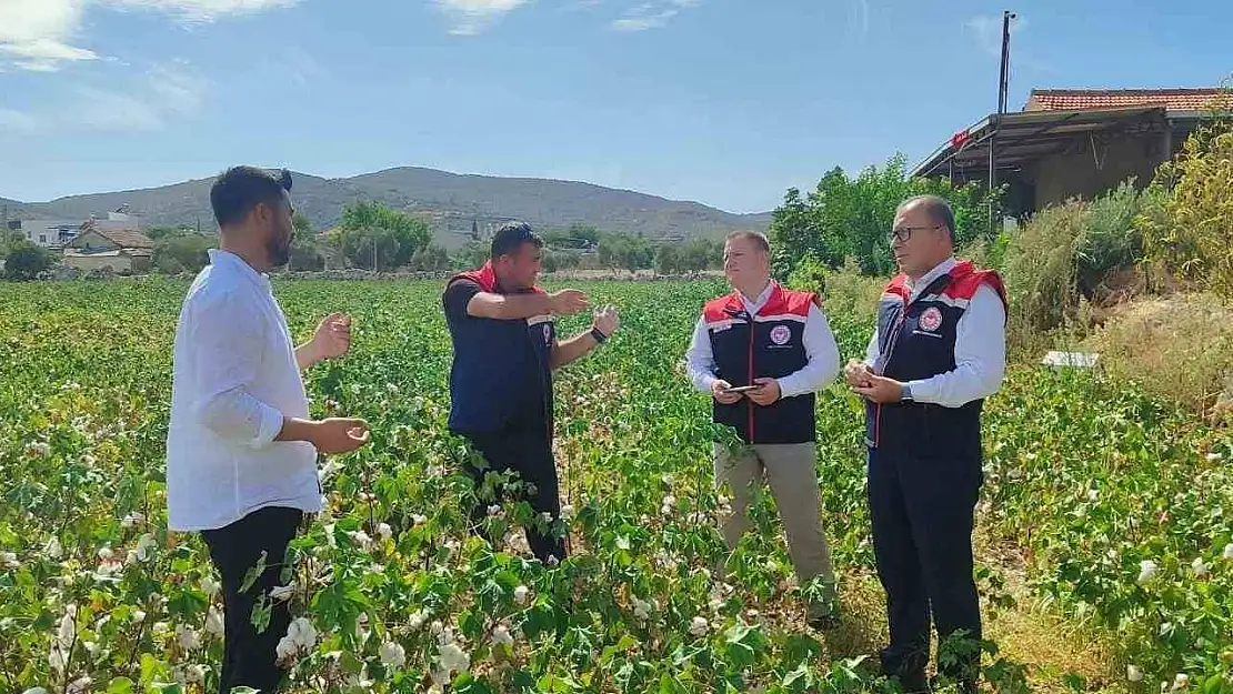 Didim'de üretim alanları kontrol edildi