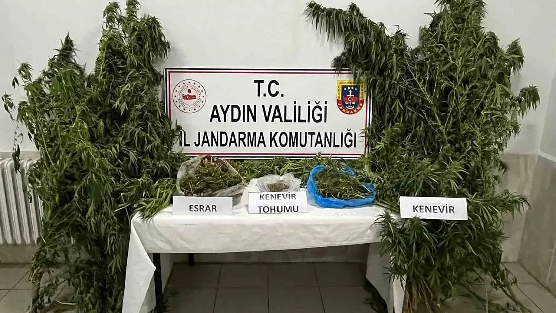 Didim'de uyuşturucu operasyonu: 1 gözaltı