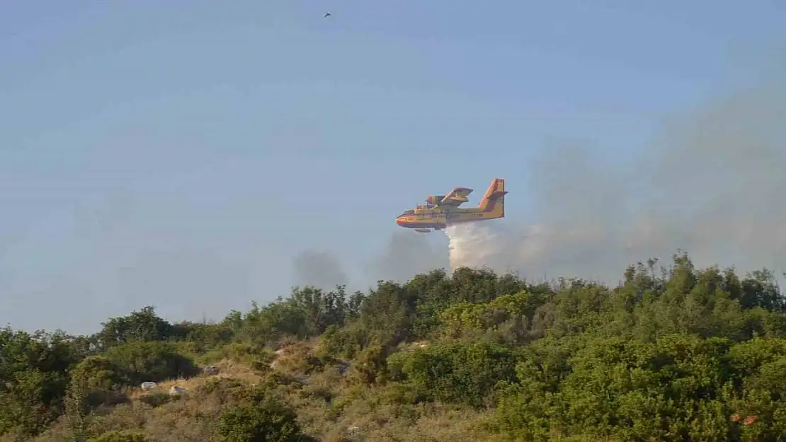 Didim'deki yangında 50 dekar alan zarar gördü