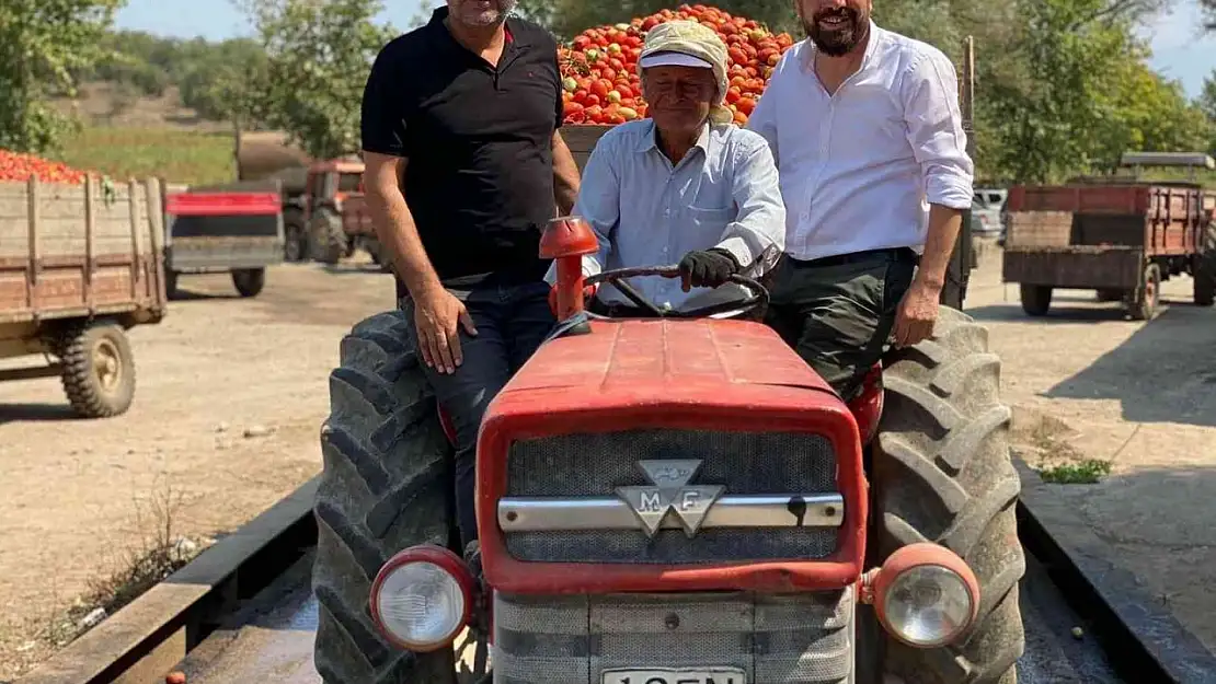 Domates üretiminde Sındırgı birinciliğe oynuyor