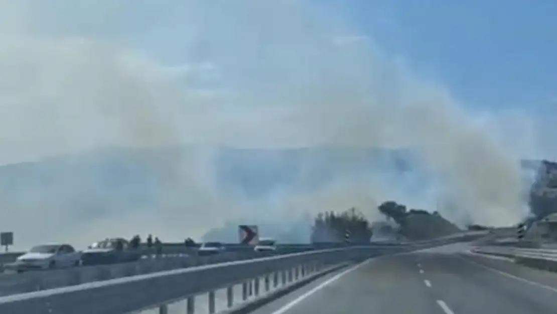 Dursunbey'deki orman yangını kontrol altına alındı