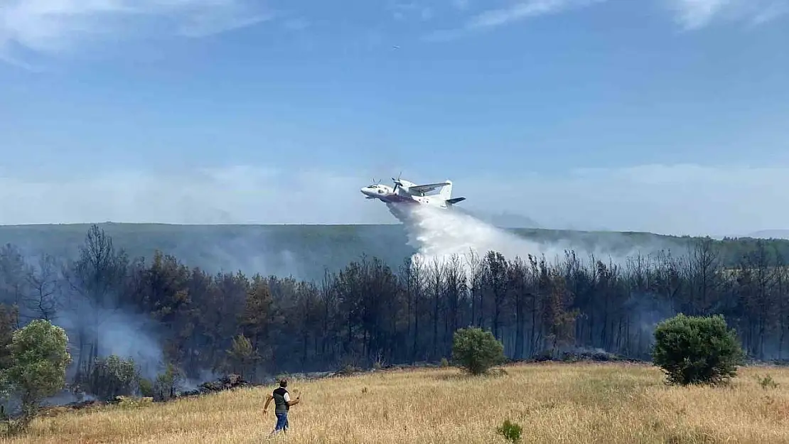 Eceabat'taki orman yangını devam ediyor