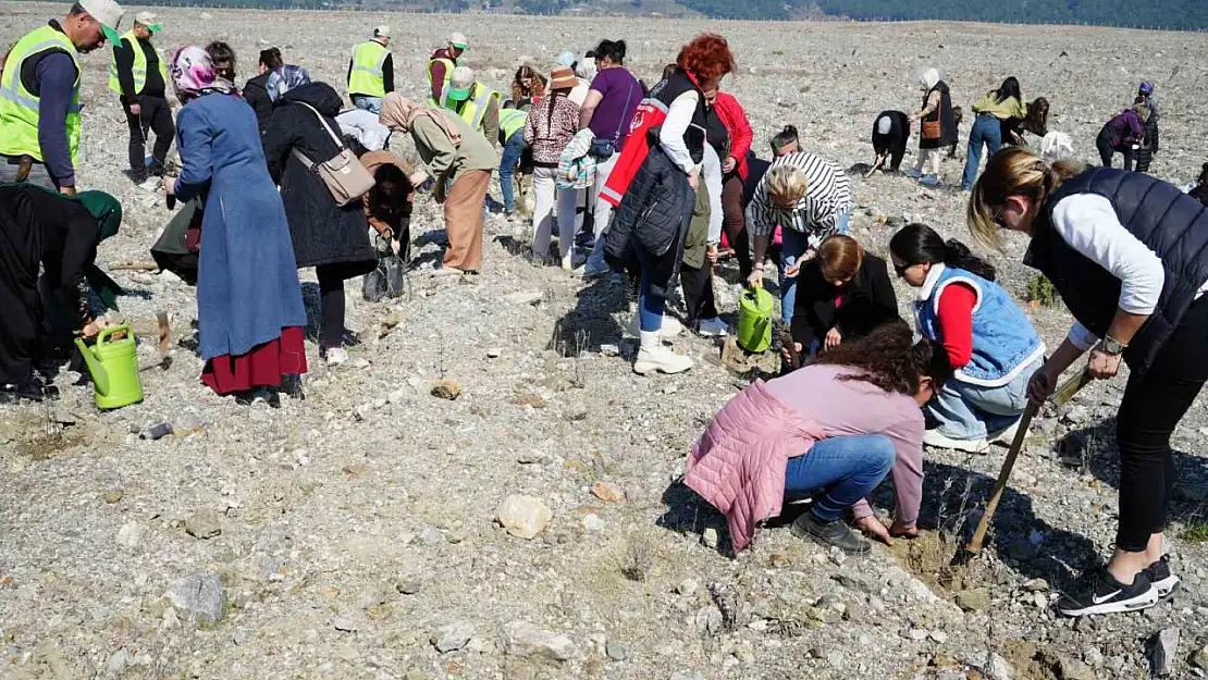 Edremit'te 'Aile Yılı' kapsamında lavanta fidanı dikildi