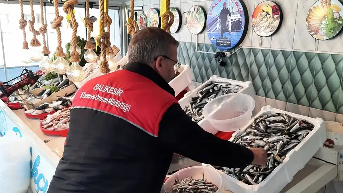Edremit'te balık denetimi
