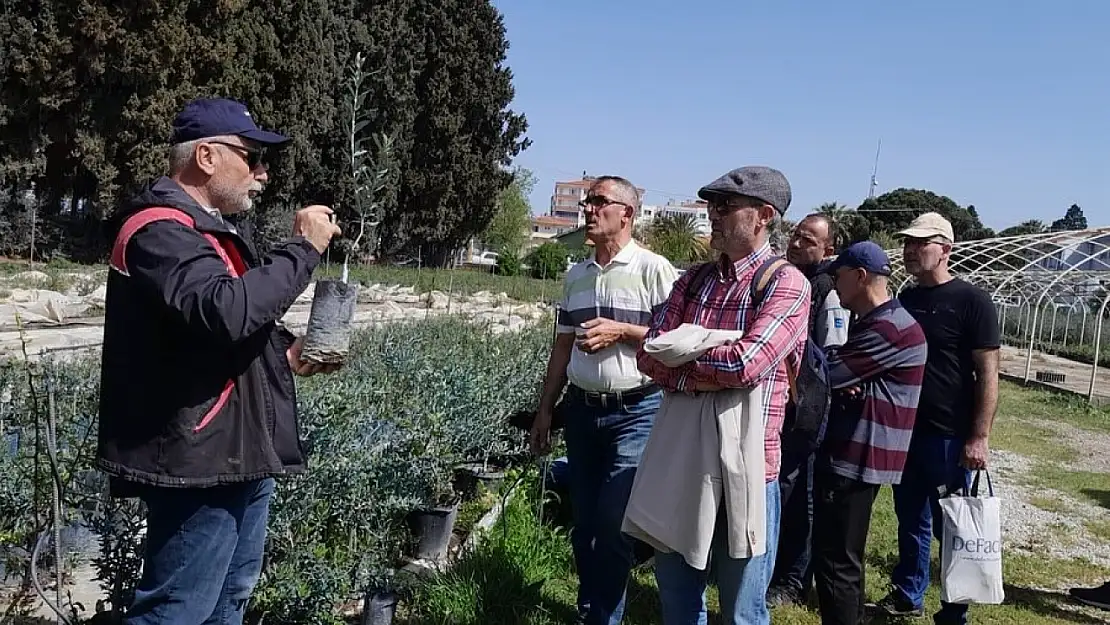 Edremit'te zeytin budama kursu uygulamalı eğitimle tamamlandı