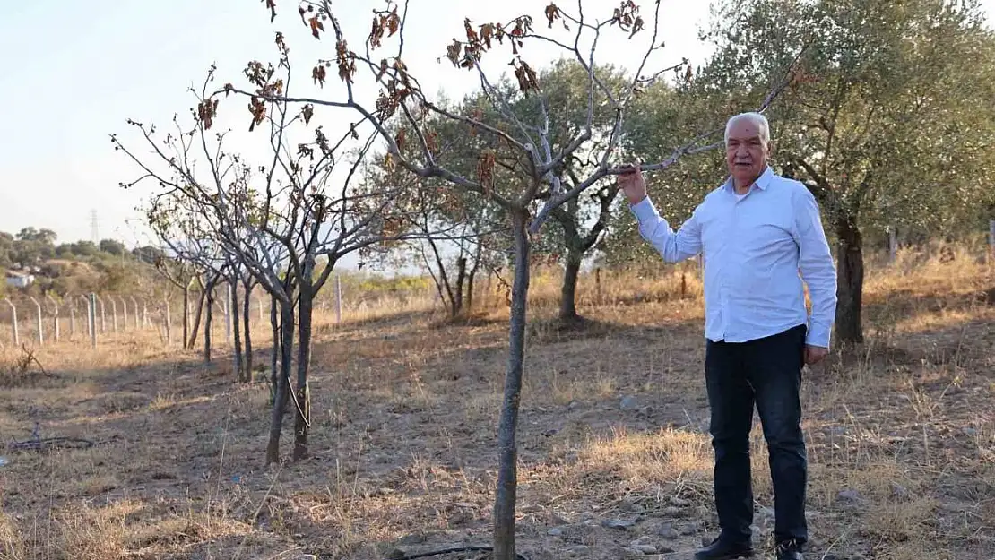 Ege'de kuraklık alarmı